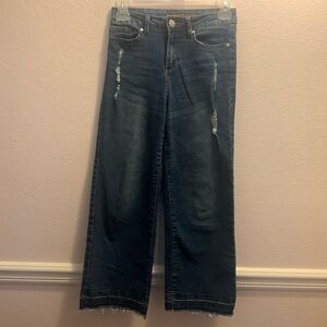 Joe’s size 14 youth girls. Blue wide leg jeans from Nordstrom Rack